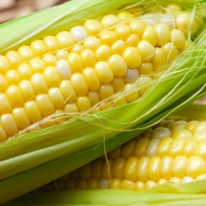 msg made of corn glutamate