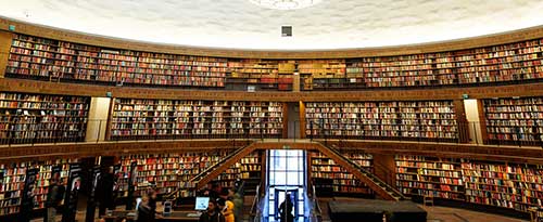 research on monosodium glutamate